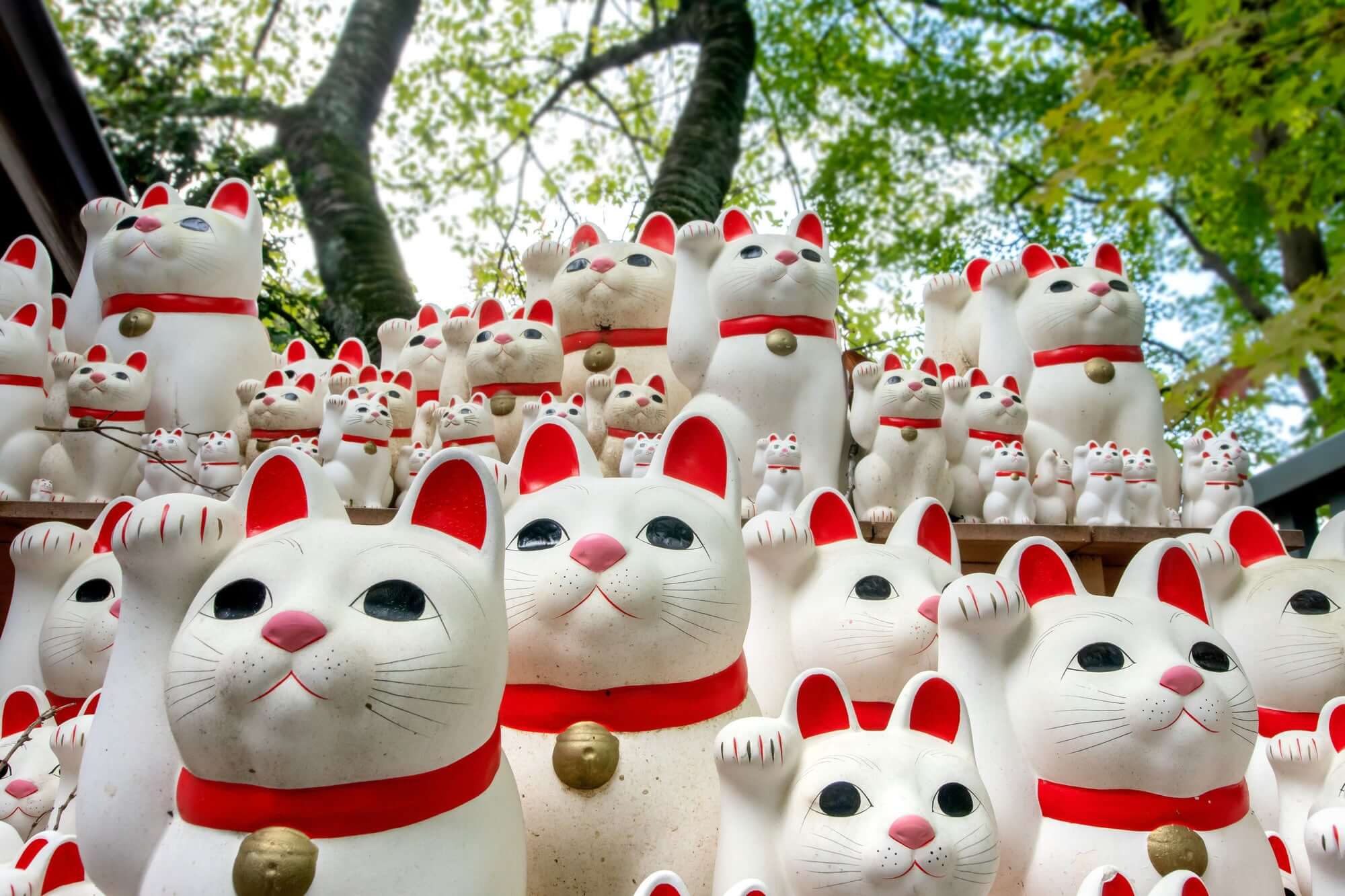 Manekinekos Secrets: Wealth, Health & Future Beckons | MOMOCA