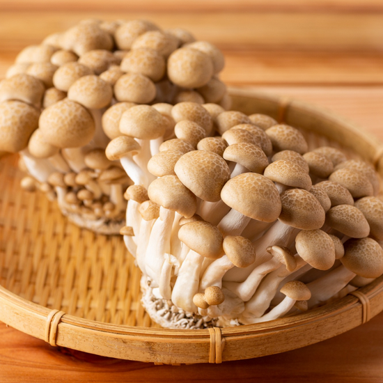 Authentic Japanese shiitake mushrooms in a bamboo basket on a wooden table.