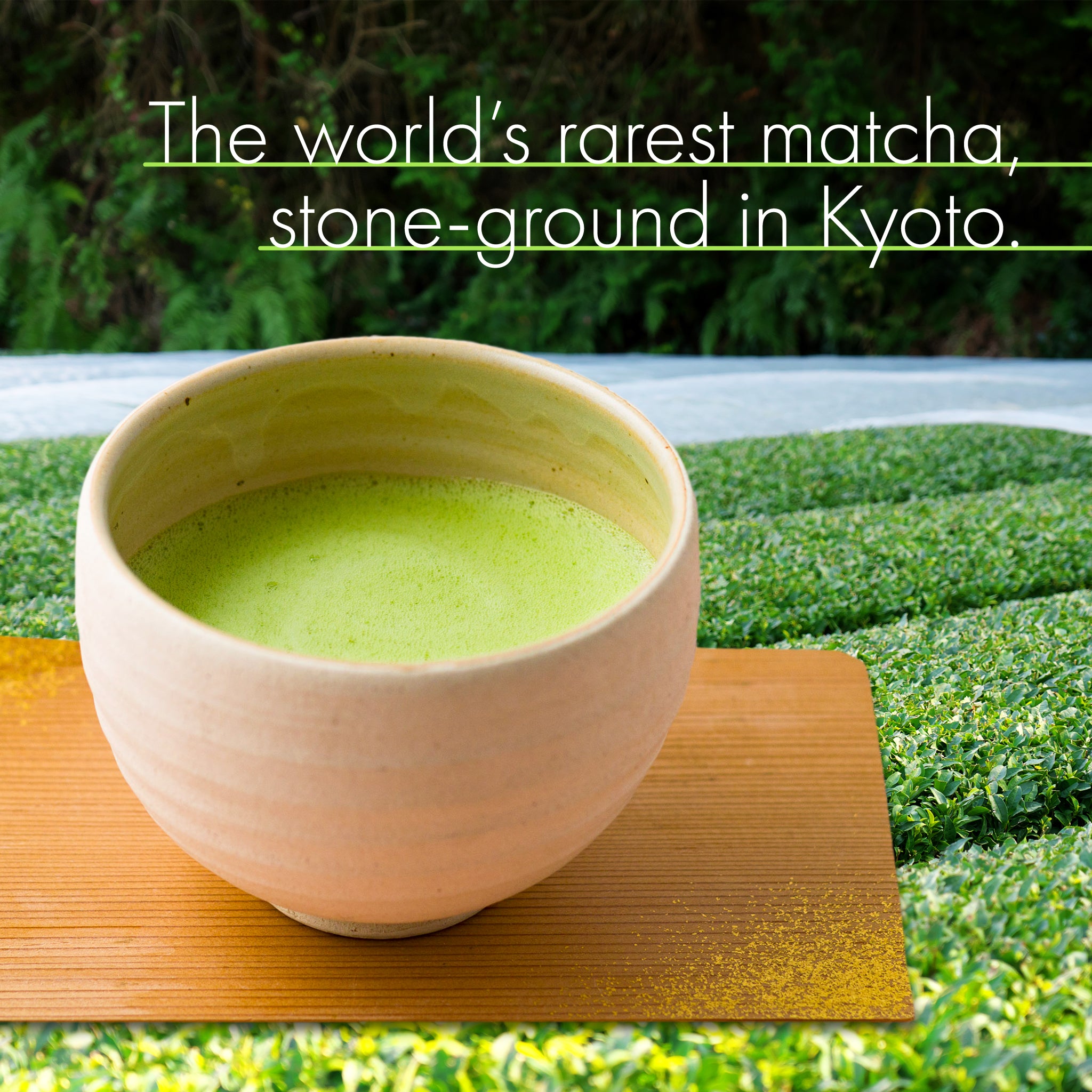 Ceramic bowl of matcha green tea with text about Kyoto matcha, set against a backdrop of green tea plants.
