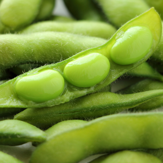 A close up of authentic Japanese snacks made from green soybeans.