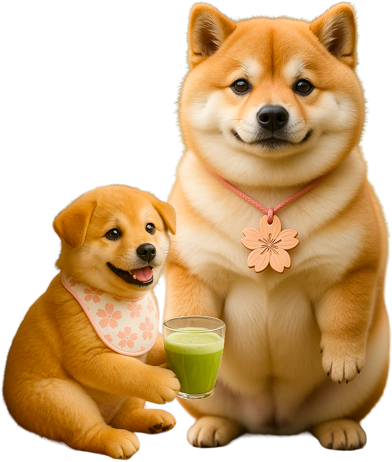 Two Shiba Inu dogs, one adult and one puppy, with a glass of green juice on a white background.